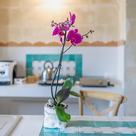 Sassi,piazza Vittorio Veneto Elegante Loft 5* Appartement Matera